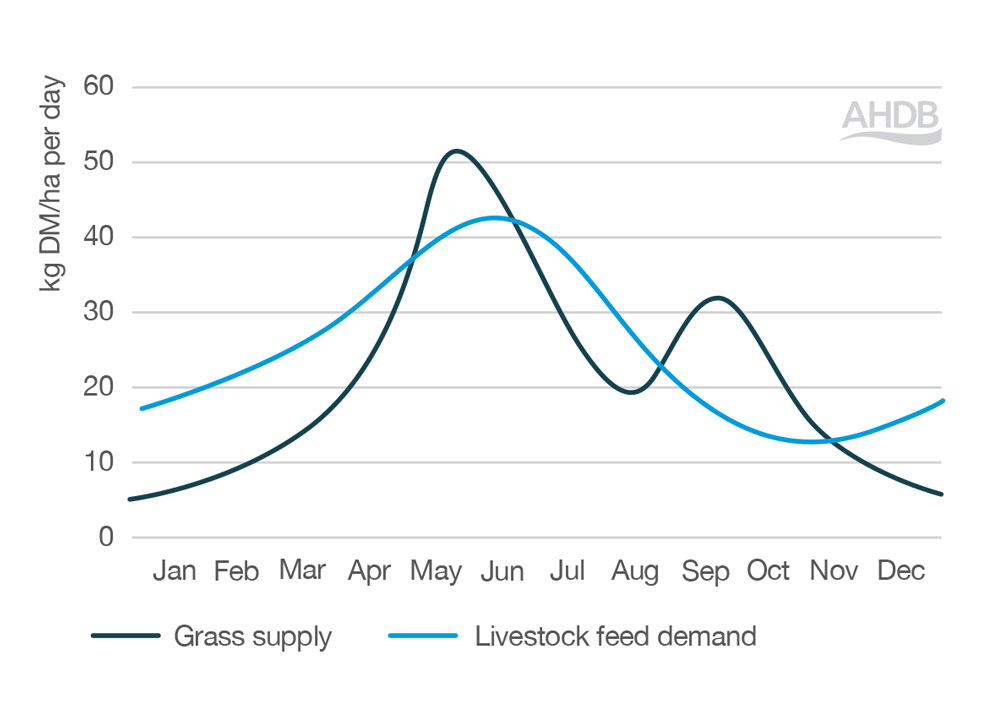 Example grass supply and demand curve throughout the year. Copyright AHDB.